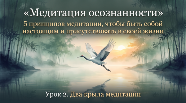 Принцип второй: "Два крыла медитации"